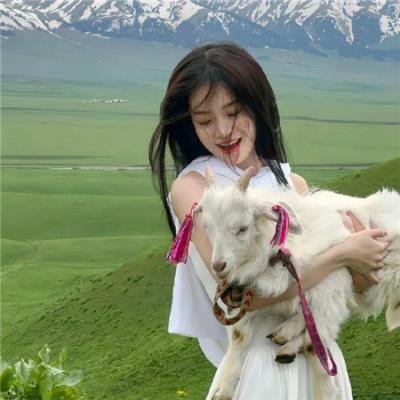 我的人格合租屋